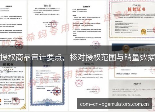 授权商品审计要点，核对授权范围与销量数据